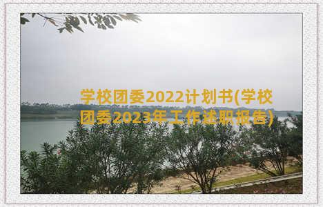 学校团委2022计划书(学校团委2023年工作述职报告)