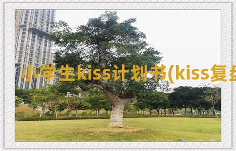 小学生kiss计划书(kiss复盘小学生)